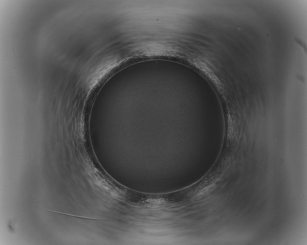 X0000103290391200809051504