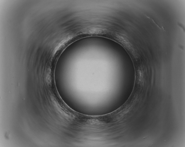 X0000103290392200809051504