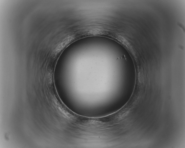 X0000103290393200809051504