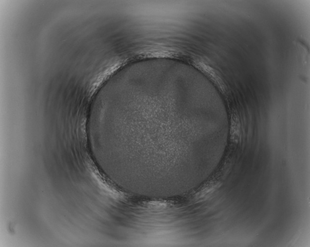 X0000103290394200809051504