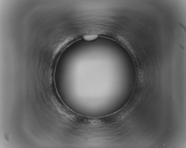 X0000103290395200809051504