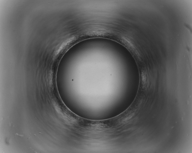 X0000103290396200809051504