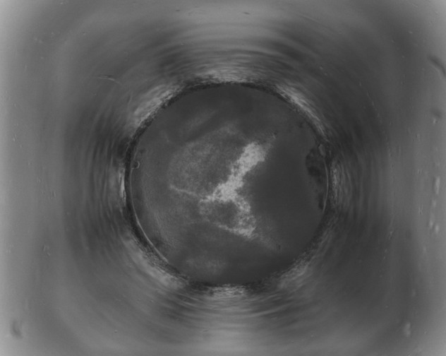 X0000103290398200809051504