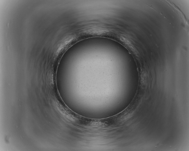 X0000103290399200809051504