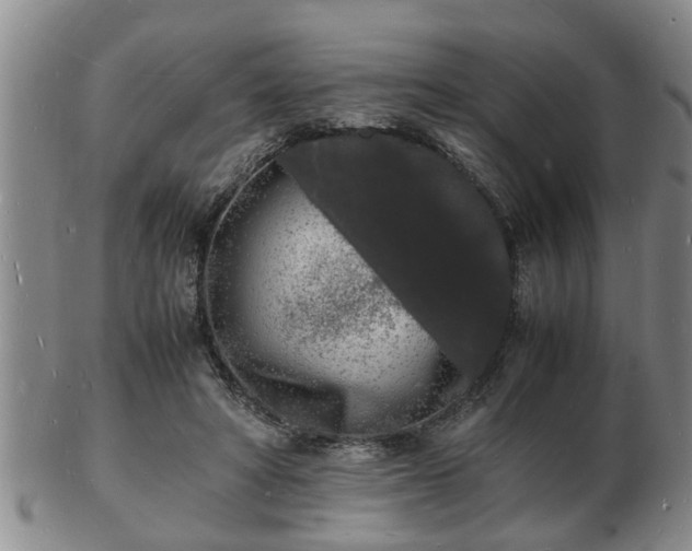 X0000103290402200809051504