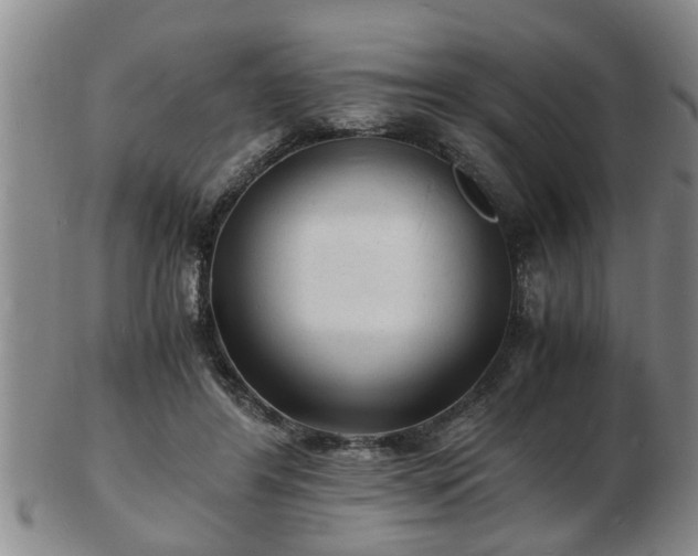 X0000103290404200809051504