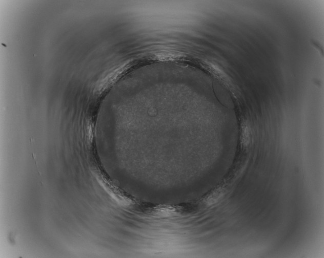 X0000103290405200809051504