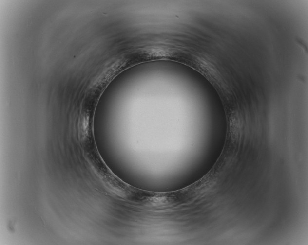 X0000103290406200809051504