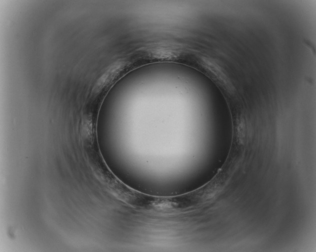 X0000103290407200809051504