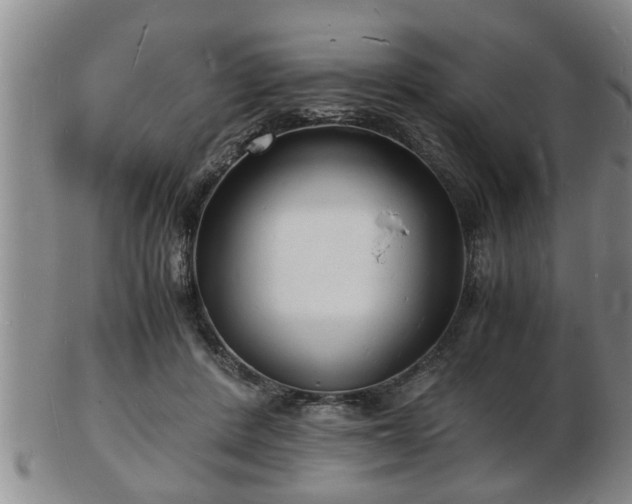 X0000103290408200809051504