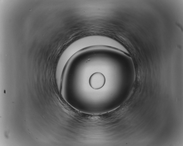 X0000103290409200809051504