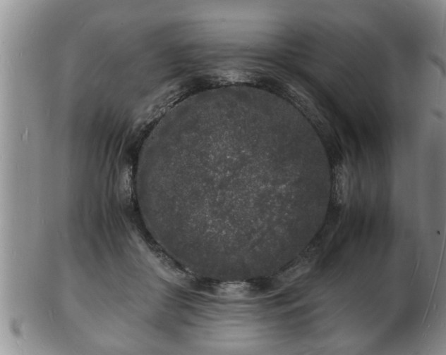 X0000103290410200809051504