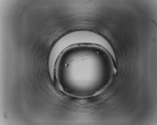 X0000103290411200809051504