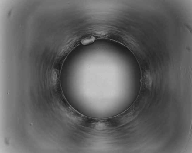 X0000103290412200809051504