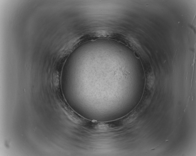 X0000103290413200809051504