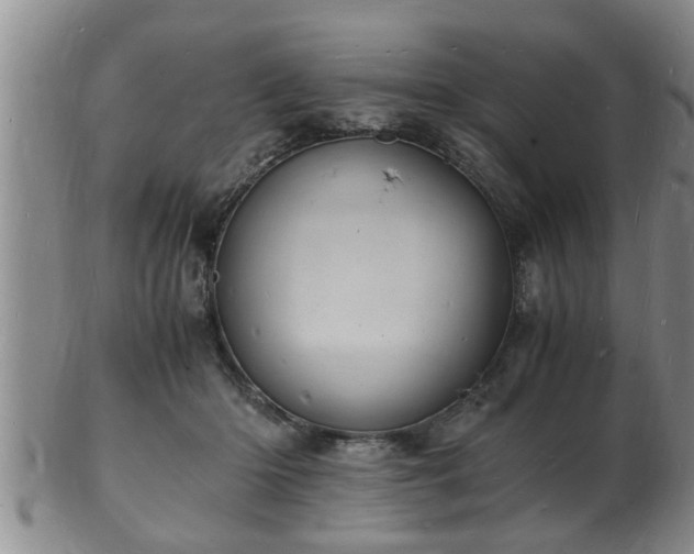 X0000103290414200809051504