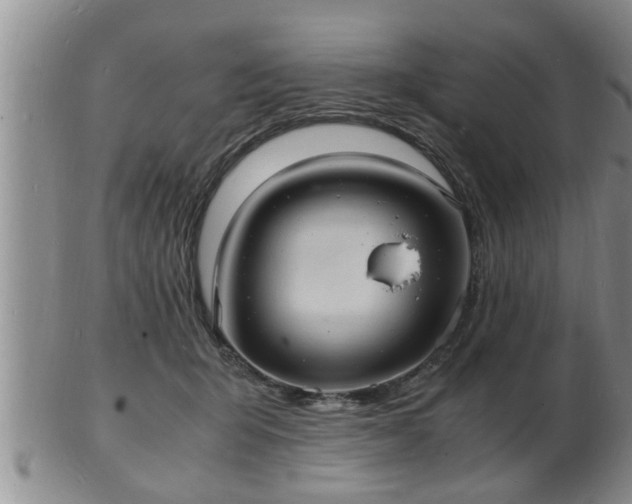 X0000103290415200809051504