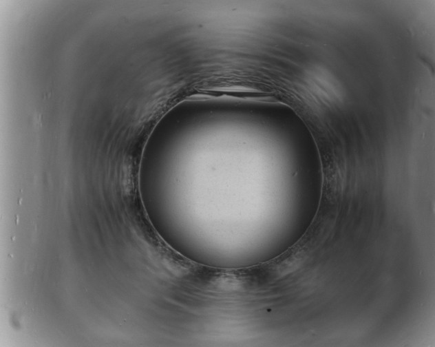 X0000103290416200809051504