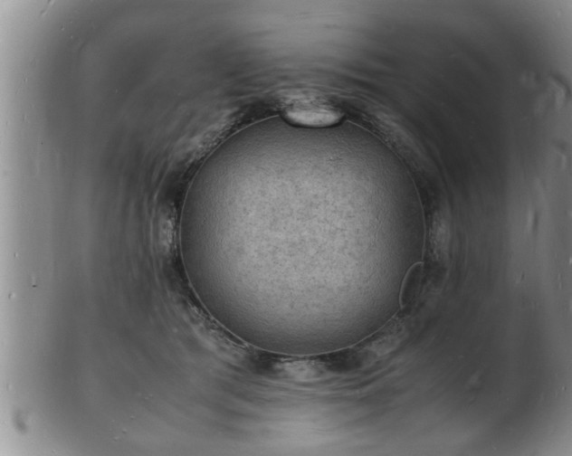 X0000103290417200809051504