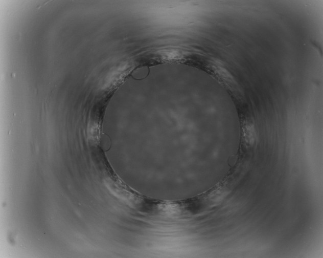 X0000103290419200809051504