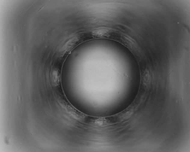 X0000103290420200809051504