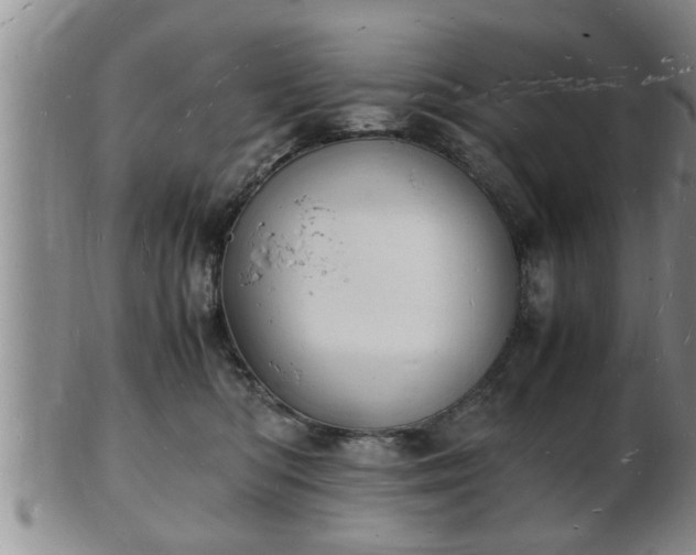 X0000103290422200809051504