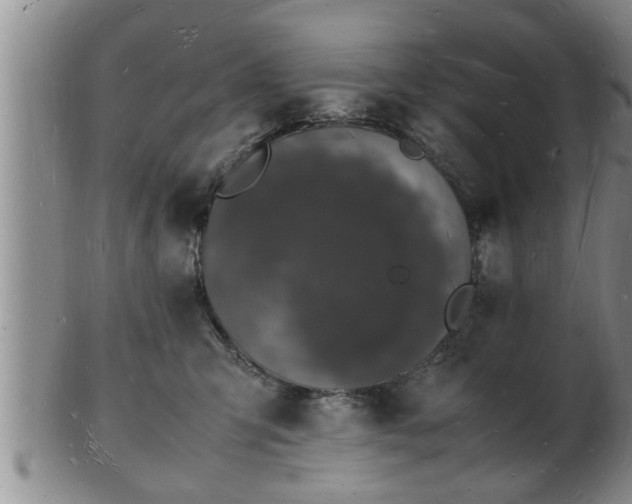 X0000103290423200809051504