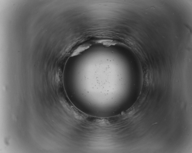 X0000103290424200809051504