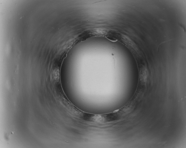 X0000103290425200809051504