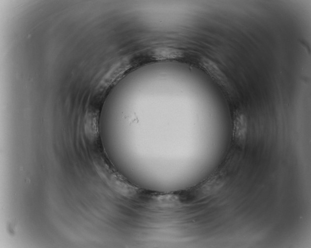 X0000103290426200809051504