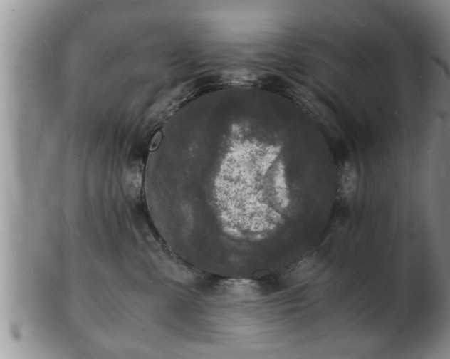 X0000103290427200809051504