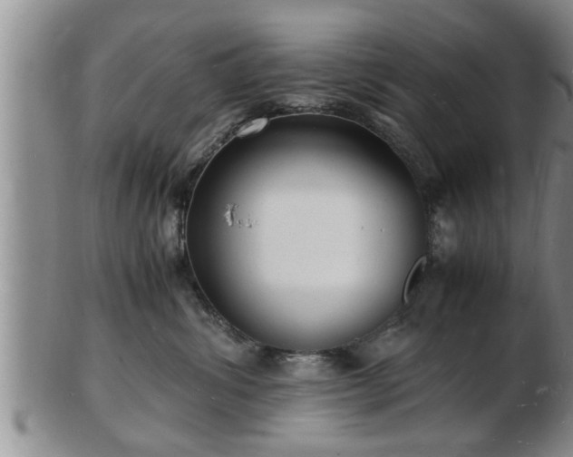 X0000103290428200809051504