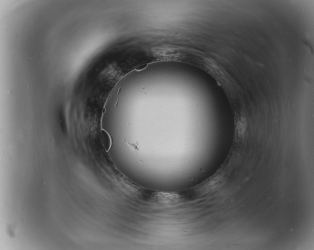 X0000103290429200809051504