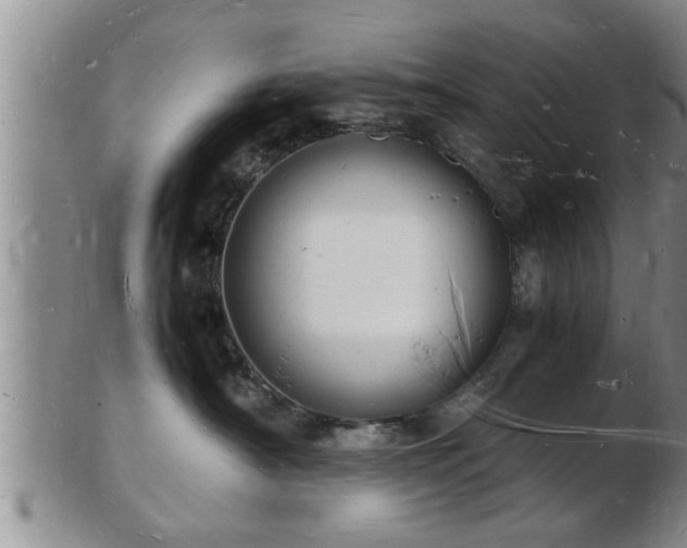 X0000103290430200809051504