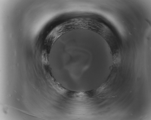 X0000103290431200809051504