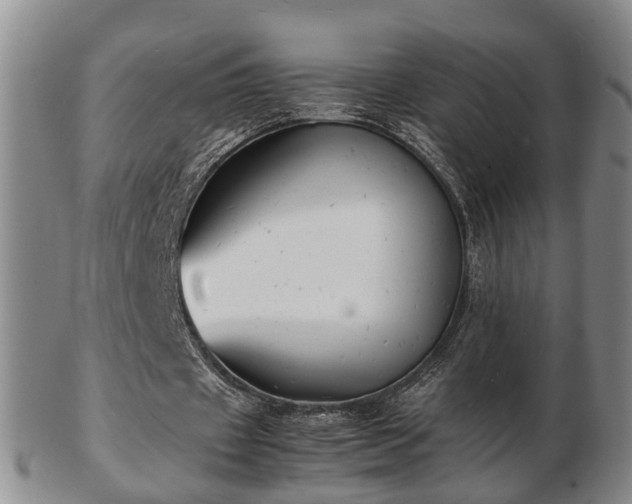 X0000103290433200809051503