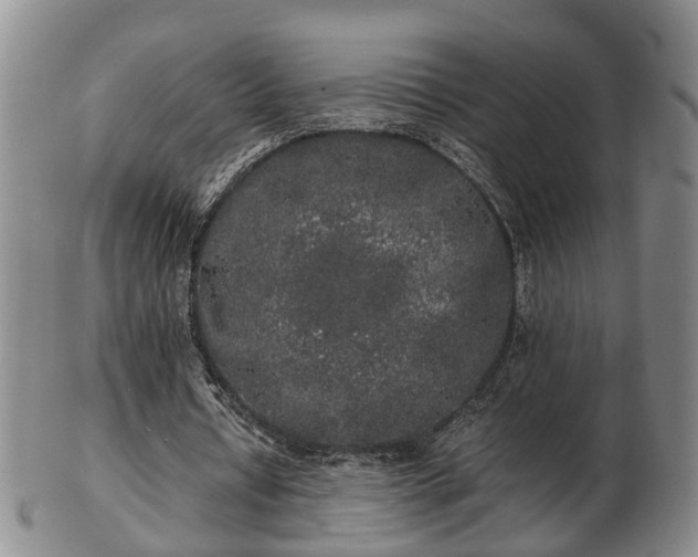 X0000103290434200809051503