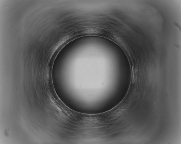 X0000103290435200809051503