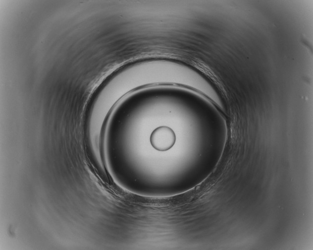 X0000103290436200809051503