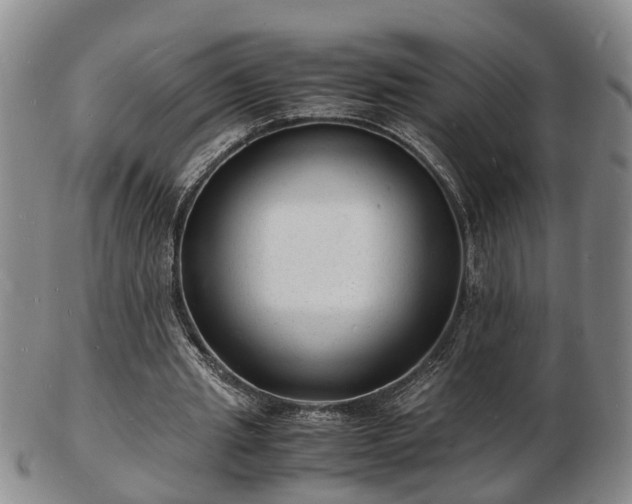 X0000103290437200809051503