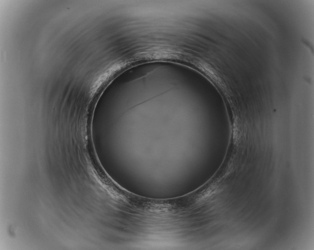 X0000103290438200809051503