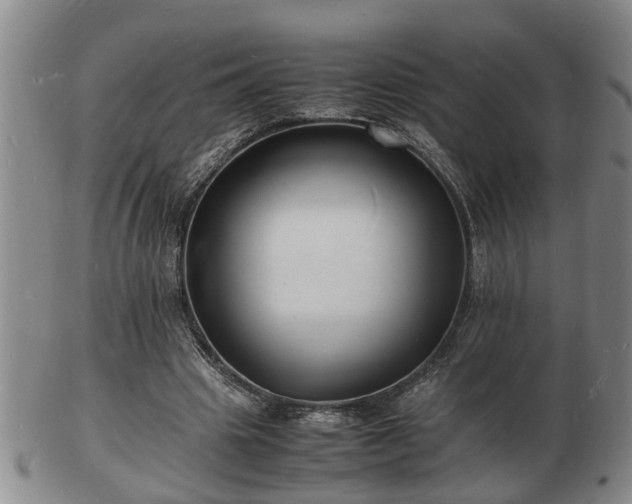 X0000103290441200809051503