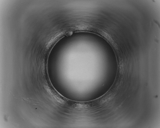 X0000103290442200809051503