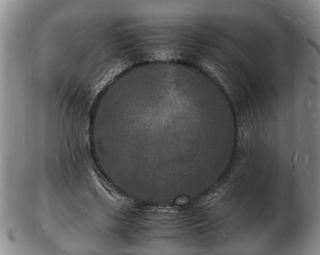 X0000103290443200809051503