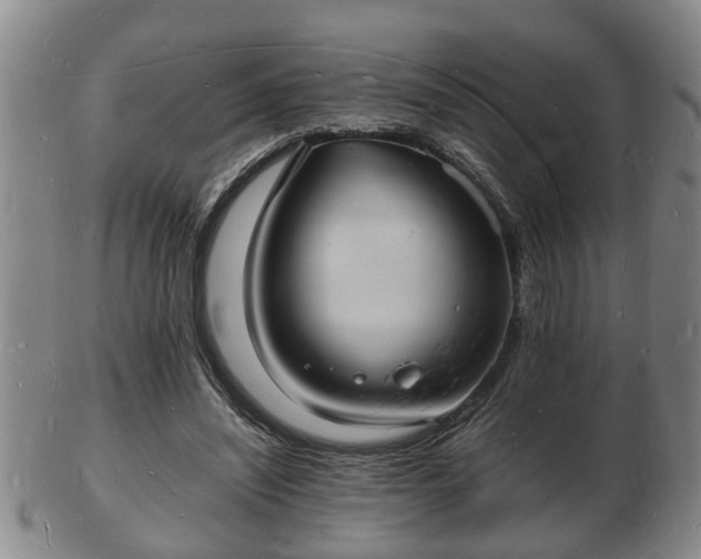 X0000103290444200809051503