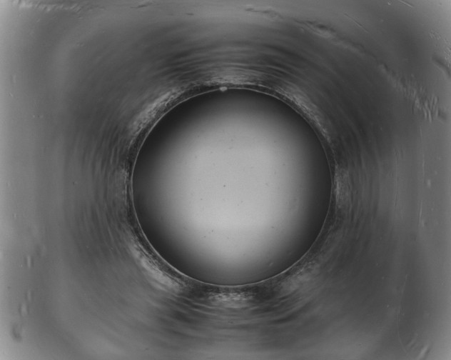 X0000103290445200809051503