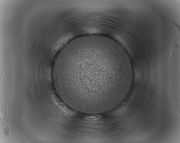 X0000103290447200809051503