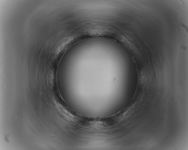 X0000103290448200809051503