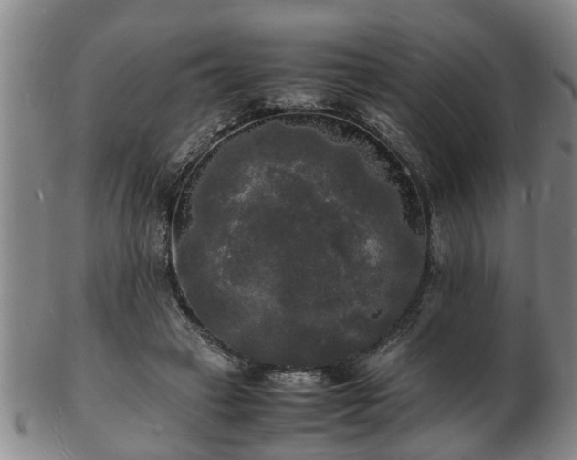 X0000103290449200809051503