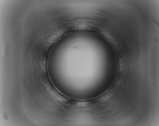 X0000103290450200809051503